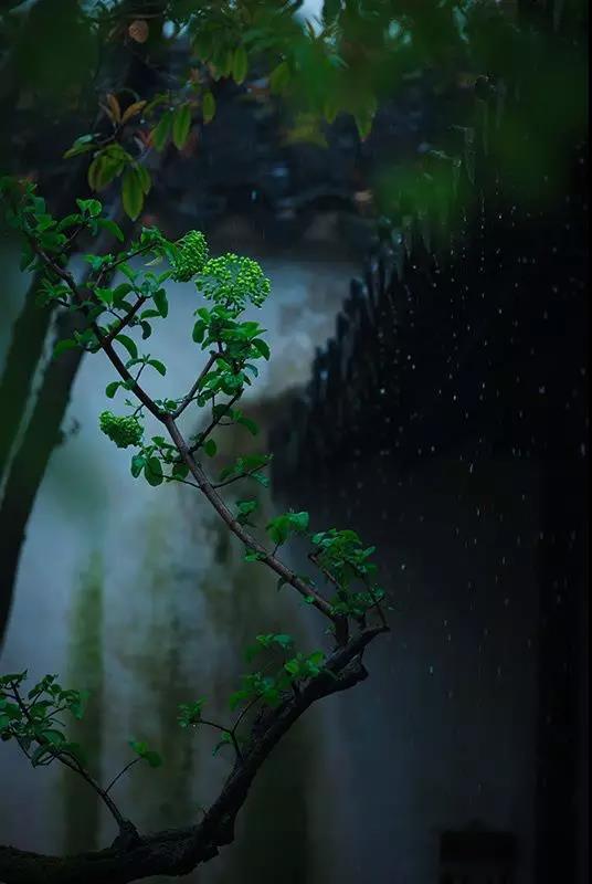 窝居智家:华夏方寸6 窝居智家:华夏方寸6