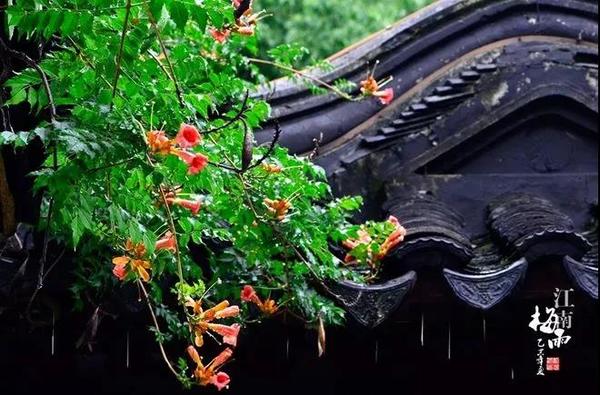 窝居智家:华夏方寸8 窝居智家:华夏方寸8